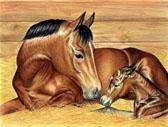 Mares and Foals, Equine Art - First Baby